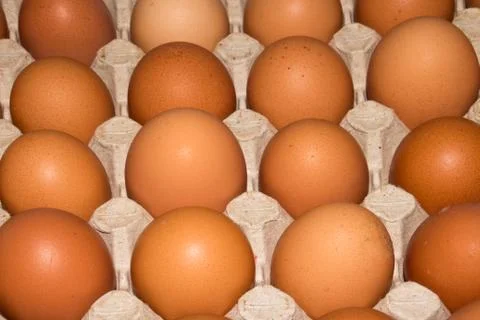 Eggs are broiler eggs. Stock Photos