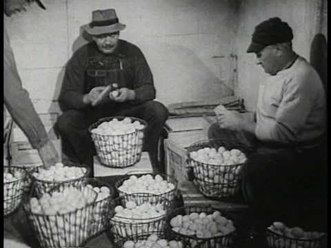 Eggs are cleaned, processed, and packaged for sale in the 1950s. Video stock 75301274