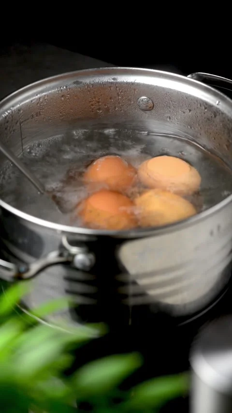 The eggs are lowered into boiling water Stock Footage 247199098