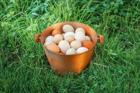 Eggs are one of the most nutritious and versatile foods in the world. Stock Photos
