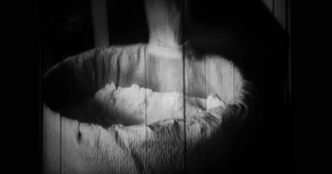 Eggs are separated and powdered Stock Footage 43502323