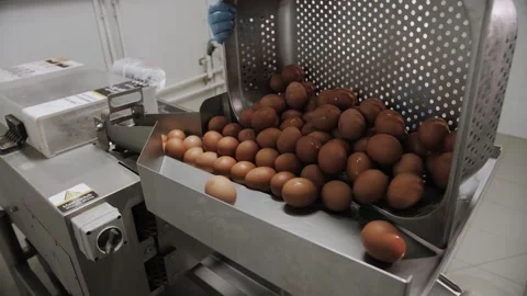 Eggs are thrown into a special machine at the food production Stock Footage 322508350