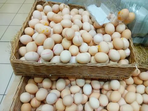 Eggs are in two baskets Foto stock