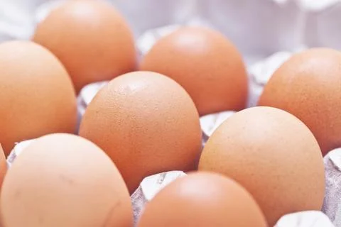Eggs arrange in a box Stock Photos