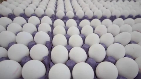 Eggs arranged in a large pattern on a flat surface Stock Footage 334273478