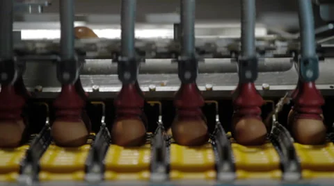 Eggs automated sorting in factory Stock Footage 62398424