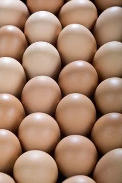 Eggs Backgroud. Stock Photos