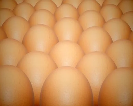 Eggs Background Stock Illustration