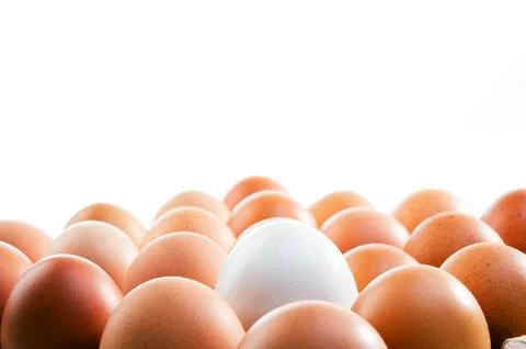 Eggs Background Stock Photos