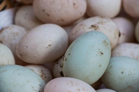 Eggs background Stock Photos