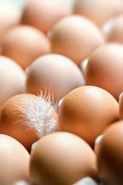 Eggs background Stock Photos