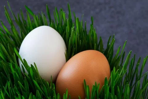 Eggs on background Stockfoto's