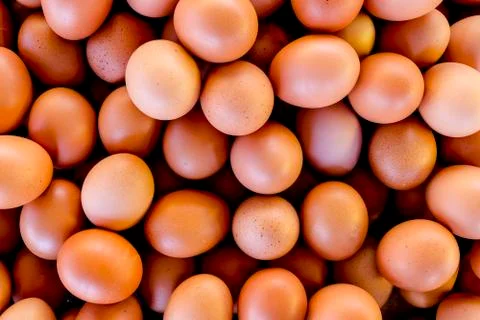 Eggs background Stock Photos