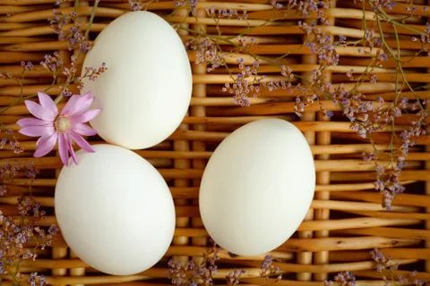 Eggs on the background of a wicker basket Stock-Fotos