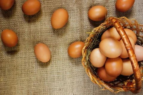 Eggs in a basket on burlap Stock Photos