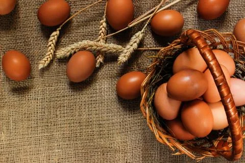 Eggs in a basket on burlap Stock Photos