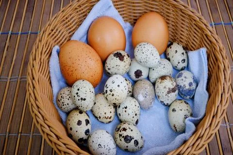 Eggs on basket, eco produc Stock Photos