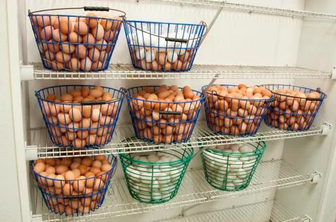 Eggs in a basket Stock Photos