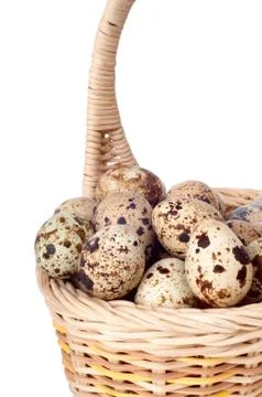 Eggs in the basket Stock Photos