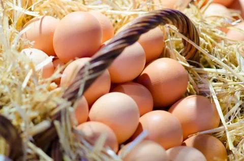 Eggs in a basket Foto stock