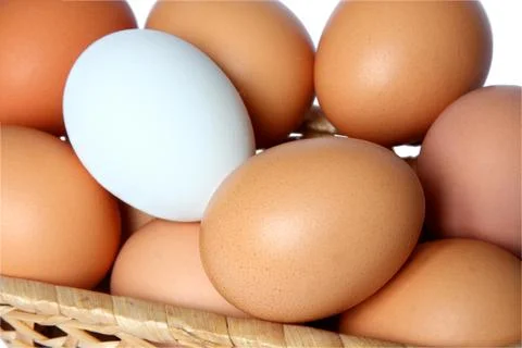 Eggs in a basket Stock Photos