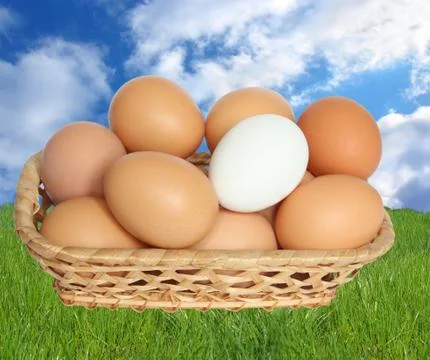Eggs in a basket Stock Photos