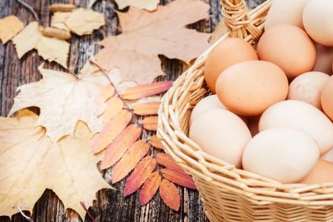 Eggs in a basket Stock Photos