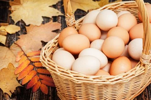 Eggs in a basket Stock Photos