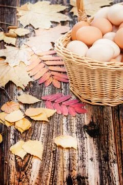 Eggs in a basket Foto stock