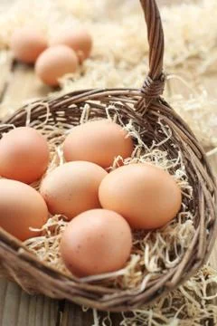 Eggs In A Basket Stock Photos