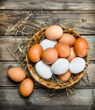 Eggs in a basket. Stock Photos