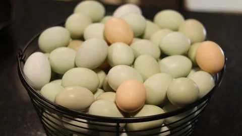 Eggs in Basket Stock Photos