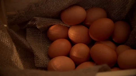 Eggs in a basket in slow motion Stock Footage 77076959