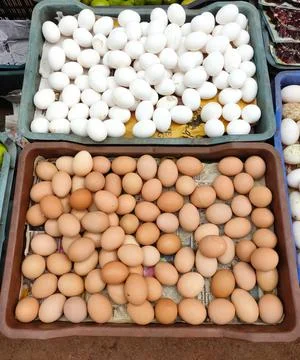 Eggs on baskets Stock Photos