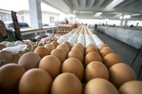 The eggs in the bazaar. 写真素材