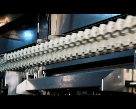 Eggs Being Processed At The Factory 스톡 동영상 509418