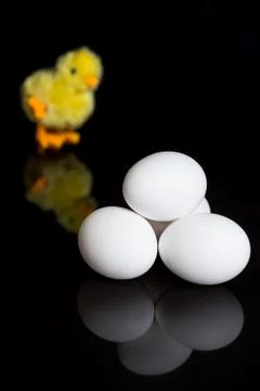 Eggs on a black background and a mechanical chicken Stock Photos