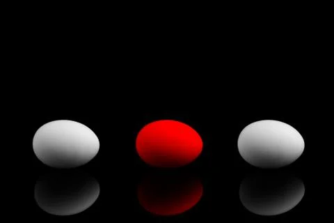 Eggs on a black background. Other. Stock Photos