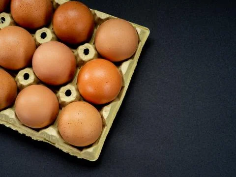 Eggs on a black background Stock Photos