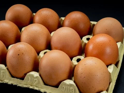 Eggs on a black background Stock Photos