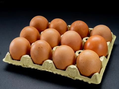 Eggs on a black background Stock Photos