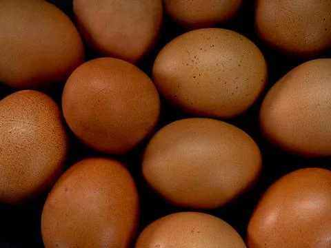 Eggs on a black background Stock Photos