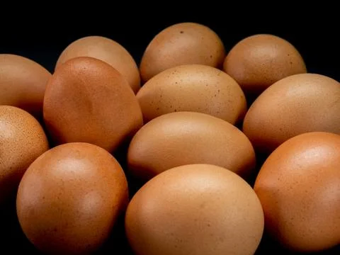 Eggs on a black background Stock Photos