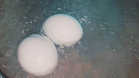 Eggs boiling 스톡 동영상 335112480