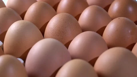  eggs in a box Stock Footage 157151424