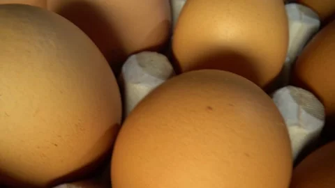  eggs in a box Stock Footage 157151425