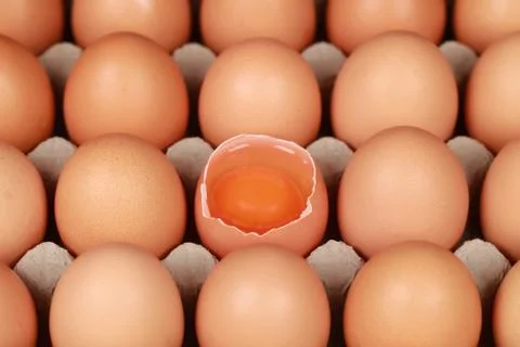 Eggs in a box Stock Photos