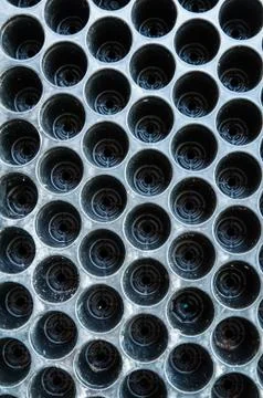 Eggs box Stock Photos