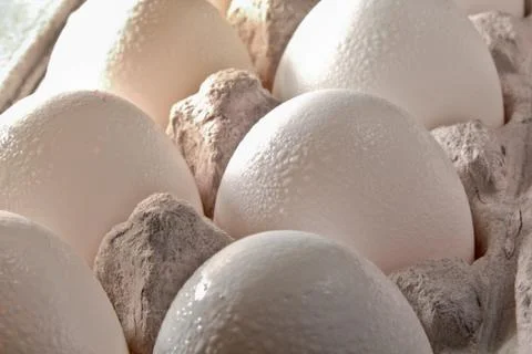 Eggs in a box Foto stock