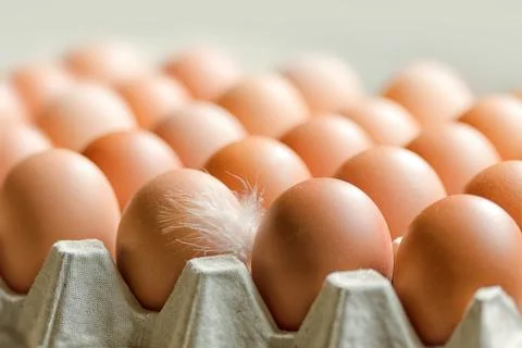 Eggs in a box Stock Photos
